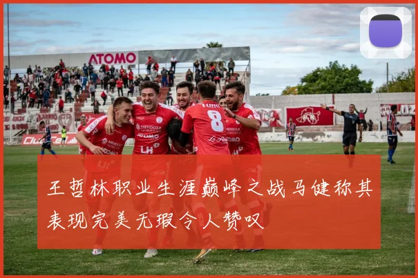 王哲林职业生涯巅峰之战马健称其表现完美无瑕令人赞叹
