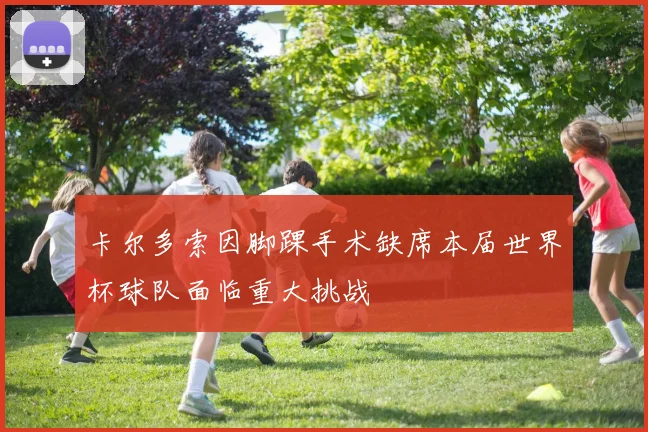 卡尔多索因脚踝手术缺席本届世界杯球队面临重大挑战