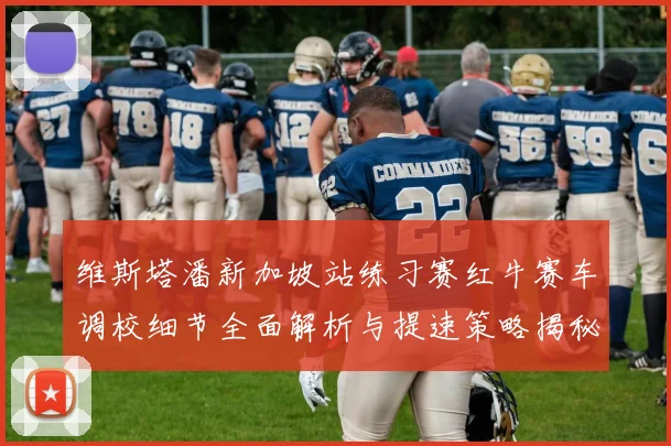 维斯塔潘新加坡站练习赛红牛赛车调校细节全面解析与提速策略揭秘