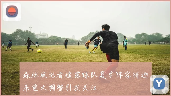 森林狼记者透露球队夏季阵容将迎来重大调整引发关注