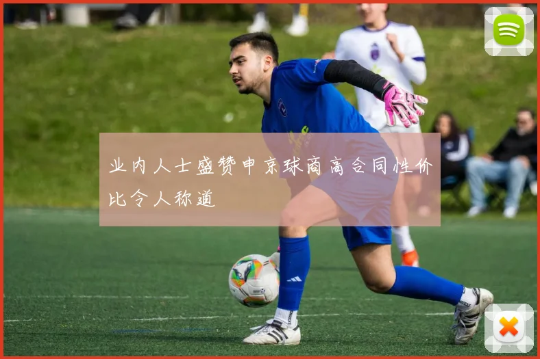 业内人士盛赞申京球商高合同性价比令人称道